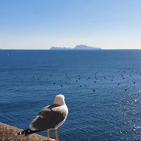 Nolana 28 In B&B 나폴리